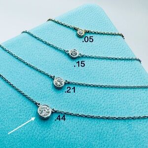 Tiffany & Co. .44 Diamond by the Yard Necklace in Platinum Packaging & Appraisal